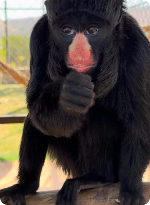 whatsapp_image_2025_05_20_at_09_56_35_2_