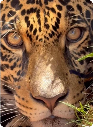 whatsapp_image_2025_05_20_at_09_56_36_12_