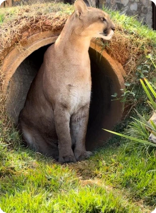 whatsapp_image_2025_05_20_at_09_56_36_4_